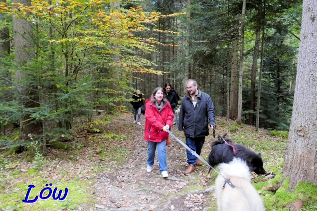 13.10.2024 -  Durch den Wald
